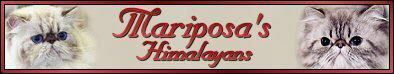 Mariposa's
