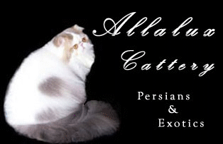 Allalux Cattery