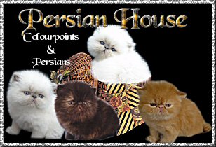 Persian House