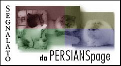 Persianspage