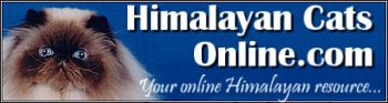 Himalayan Cats Online