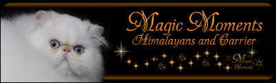 Magic Moments