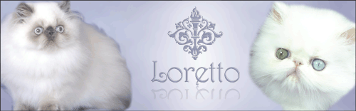 Loretto