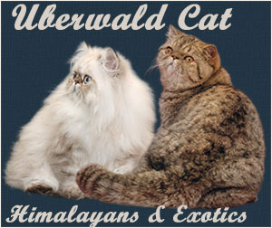 Uberwald