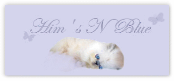 Him's N Blue Cattery