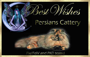 Best Wishes