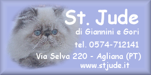 St. Jude