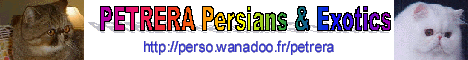 Petrera