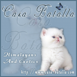 Casa Batalla