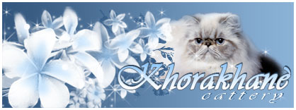 Khorakhanè Cattery