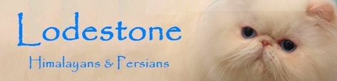 Lodestone