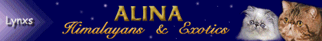Alina