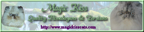 Magic Kiss