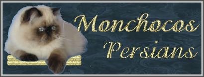 Monchocos