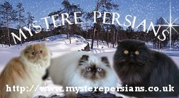 Mystere