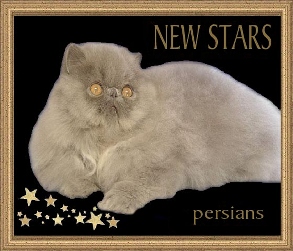 New Stars