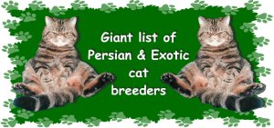 Persian Breeder's List
