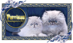 Purrisus