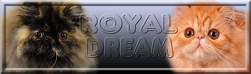 Royal Dream
