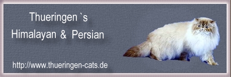 Thueringen`s Cattery