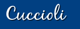 Cuccioli