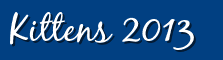 Kittens 2013